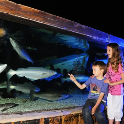 Boy and girl looking at fish in the aquarium SEA LIFE