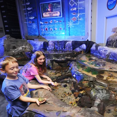 SEA LIFE Blackpool Rockpool