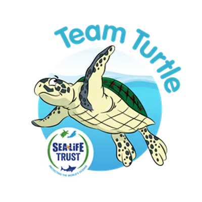 Team Turtle Blue Twist