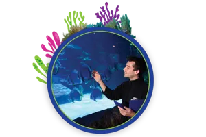 Web Icon Trans