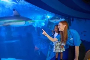 Sealife General SJ 010