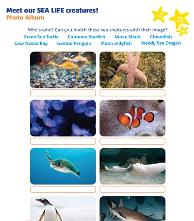 Meet Our Sea Creatures 950X1080
