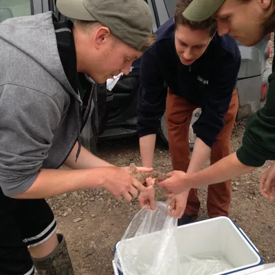 Protecting Lake Sturgeon | SEA LIFE Aquarium