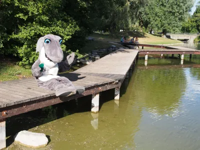 Sharky im Sommer